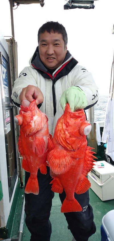 深海釣り アコウ