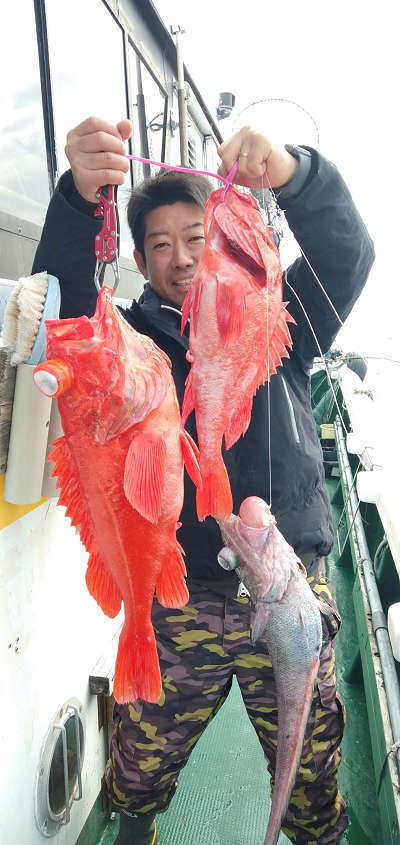 深海釣り アコウ