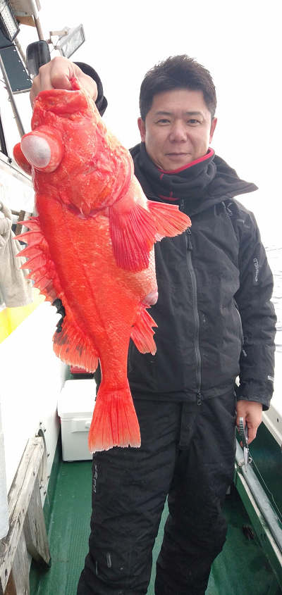 深海釣り アコウ
