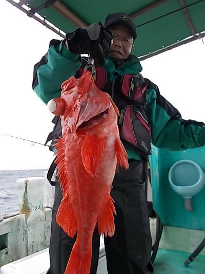 深海釣り アコウ