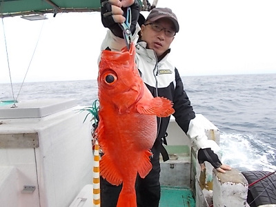 深海釣り アコウ