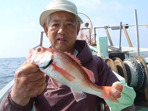 [Cނ