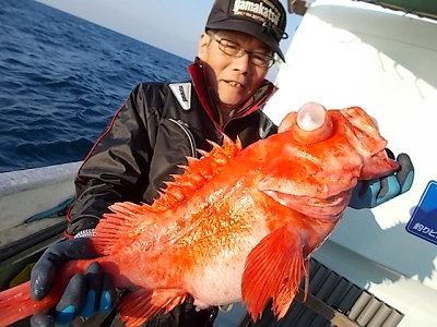 深海釣り アコウ