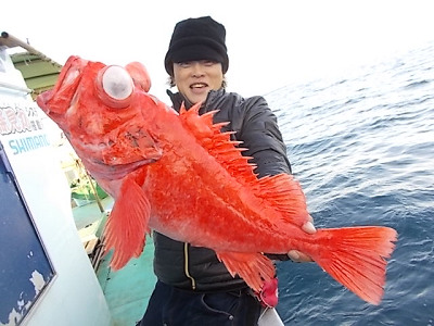 アコウ釣り