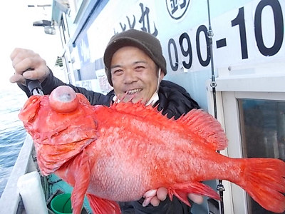 アコウ釣り