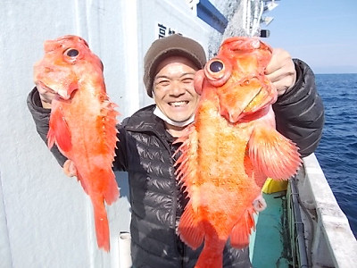 アコウ釣り