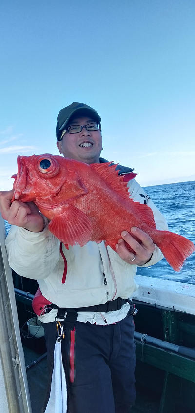 アコウ釣り