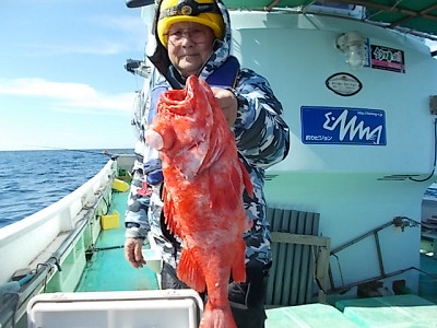 アコウ釣り