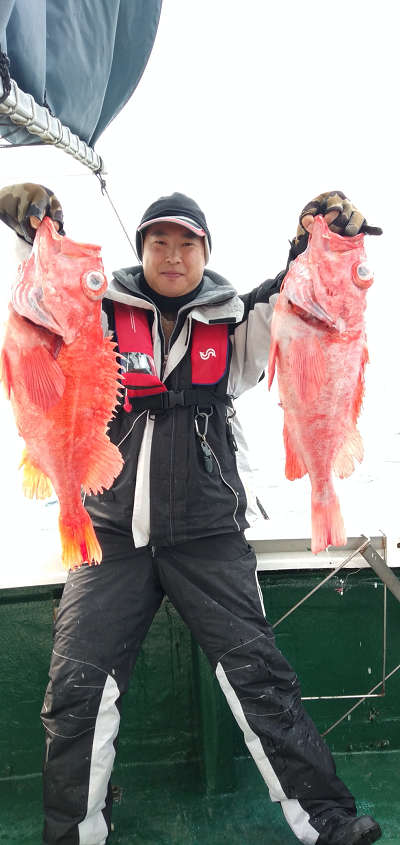 アコウ釣り