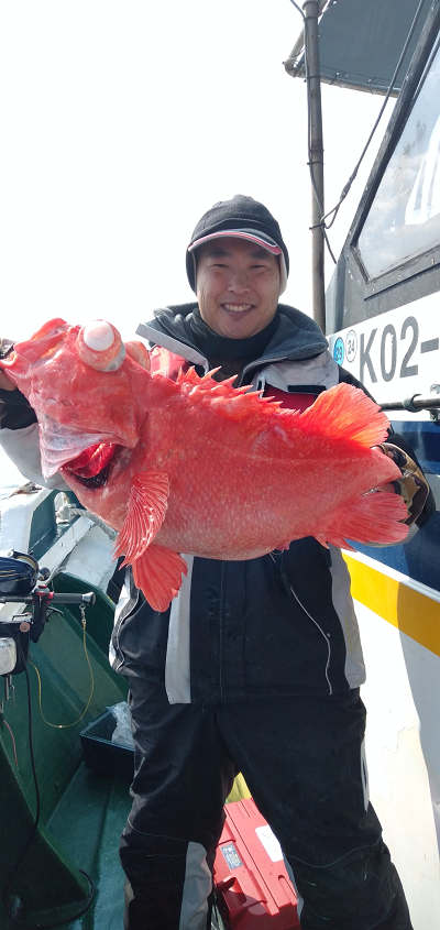 アコウ釣り