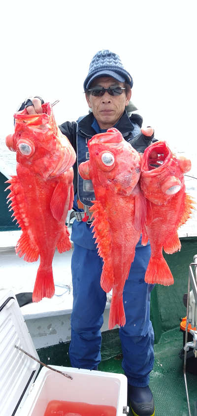 アコウ釣り