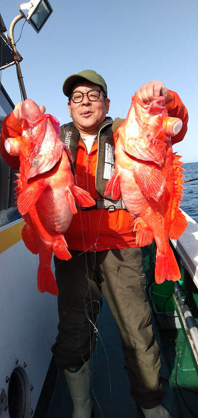 アコウ釣り