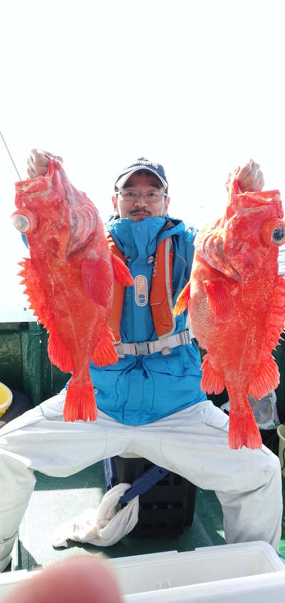 アコウ釣り