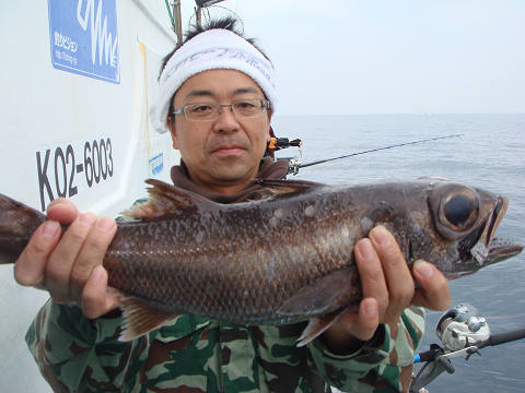 [Cނ