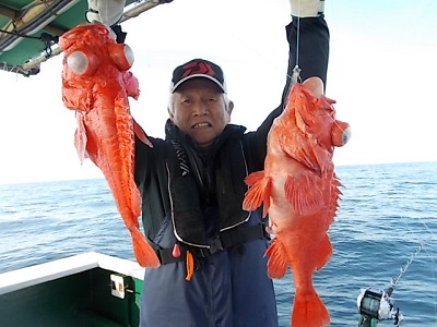 アコウ釣り