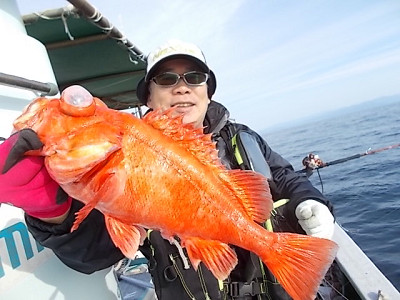 アコウ釣り