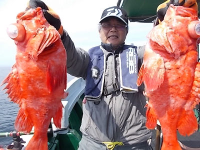 アコウ釣り