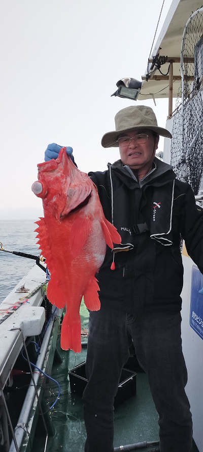 アコウ釣り