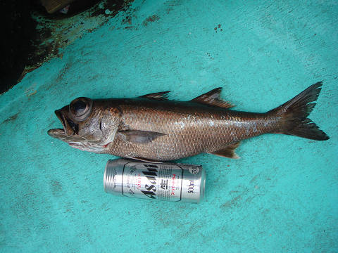 [Cނ