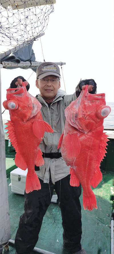 アコウ釣り