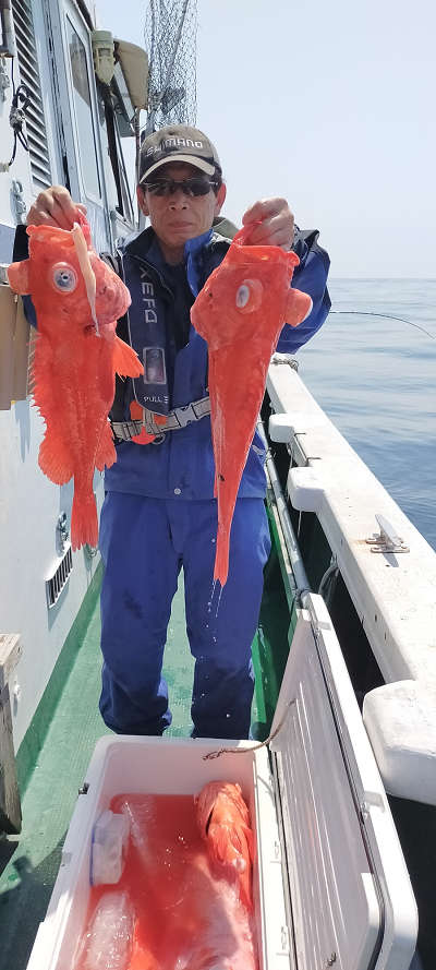 アコウ釣り