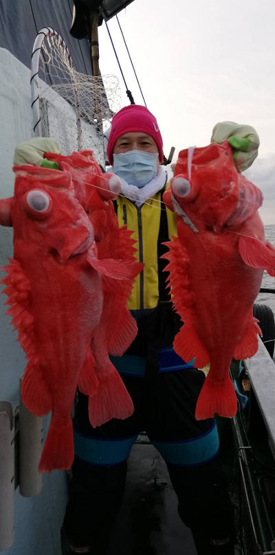 アコウ釣り