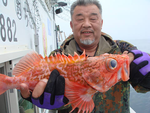 [Cނ