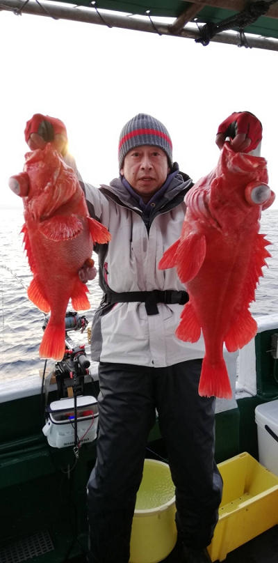 アコウ釣り