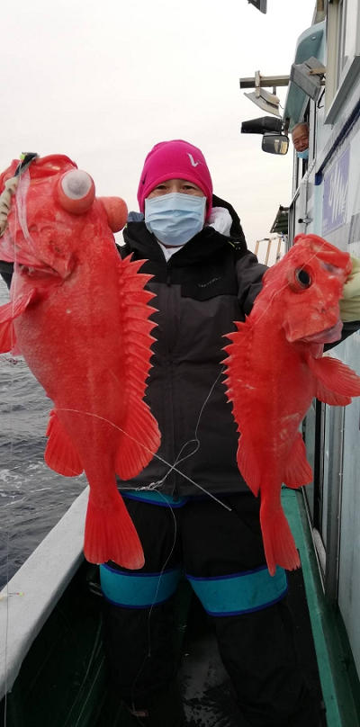 アコウ釣り