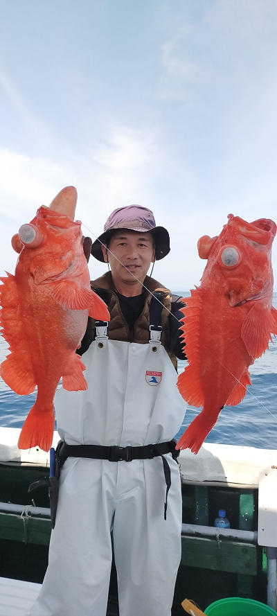 アコウ釣り
