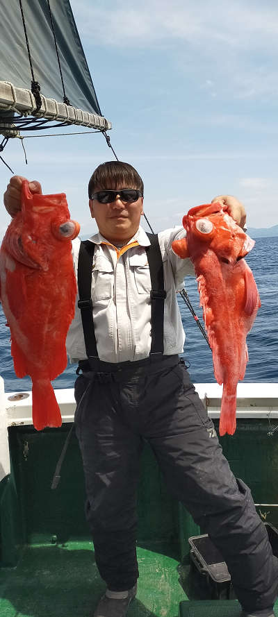 アコウ釣り