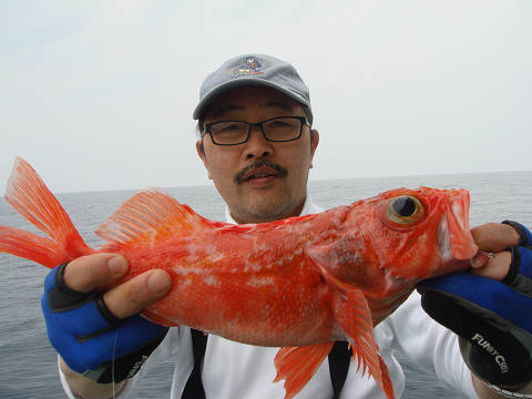 [Cނ