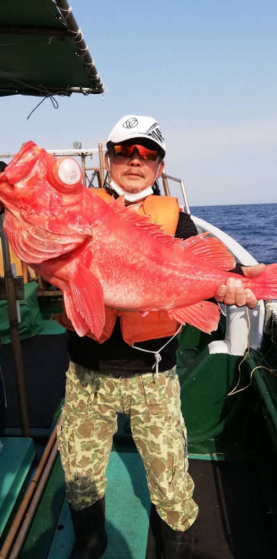 アコウ釣り