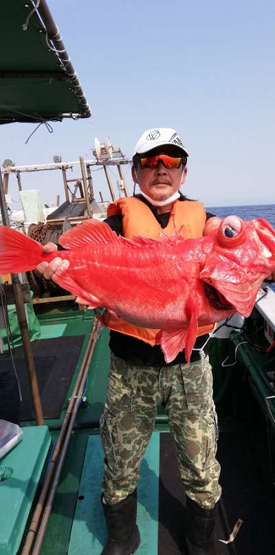 アコウ釣り