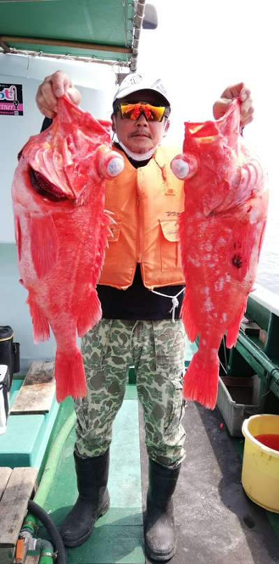 アコウ釣り