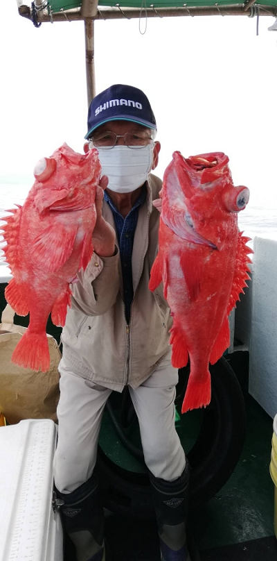 アコウ釣り