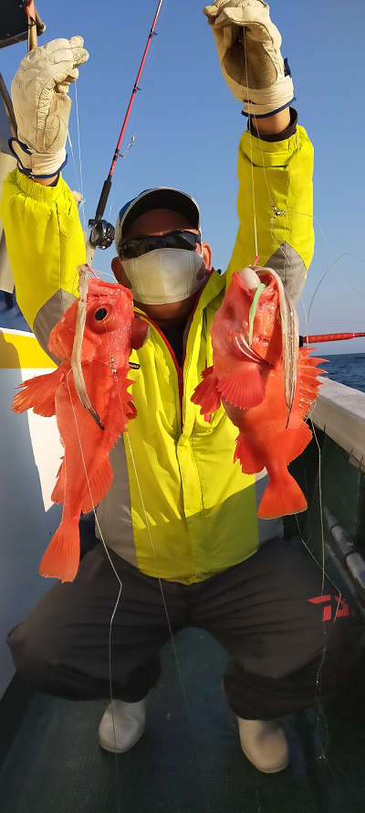 アコウ釣り