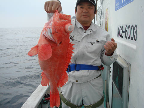[Cނ