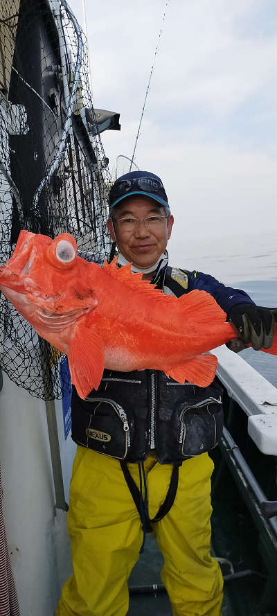 アコウ