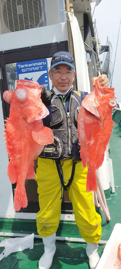 アコウ