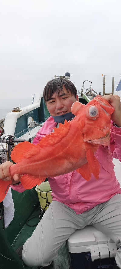 アコウ