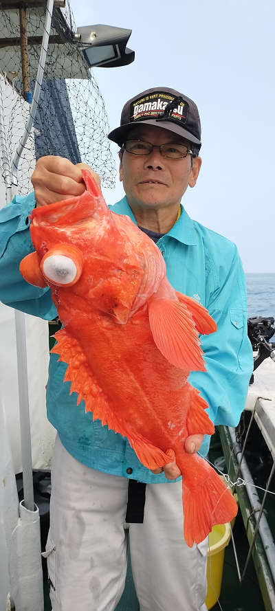 アコウ