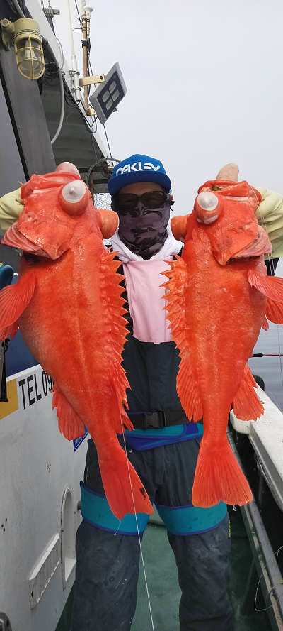 アコウ