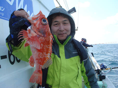 [Cނ