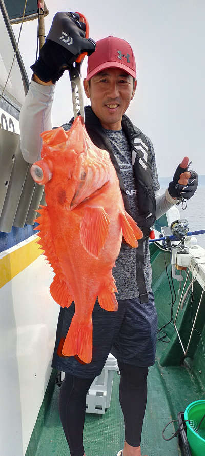 アコウ釣り