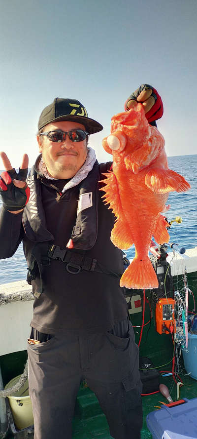 アコウ釣り
