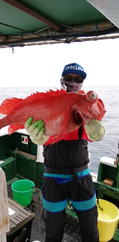 アコウ釣り