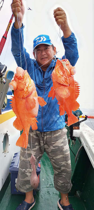 アコウ釣り