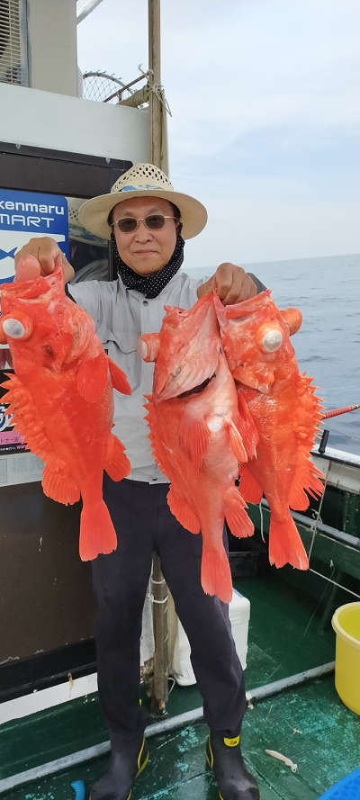 アコウ釣り
