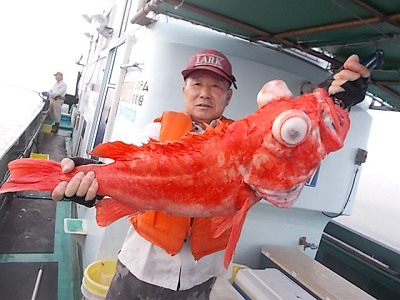 アコウ釣り